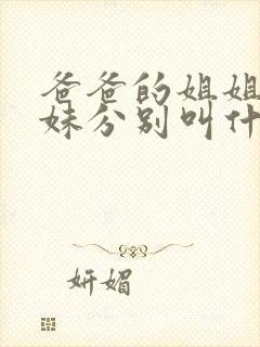 爸爸的姐姐和妹妹分别叫什么称呼