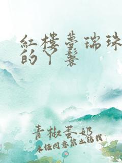 红楼梦瑞珠是谁的丫鬟
