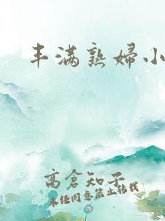 丰满熟妇小说网