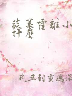 苏莱霍离小说叫什么