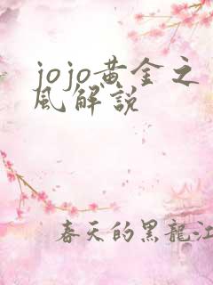 jojo黄金之风解说