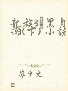 龙族3·黑月之潮(下) 小说