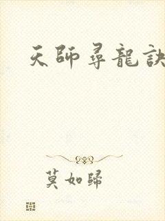 天师寻龙诀全