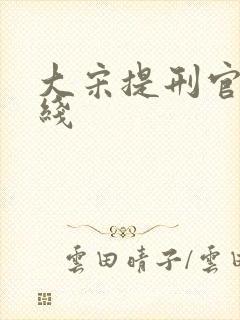 大宋提刑官1在线