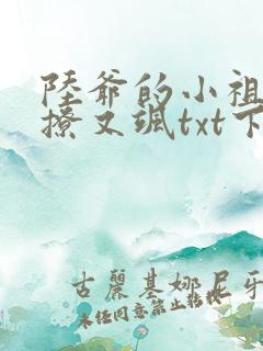 陆爷的小祖宗又撩又飒txt下载