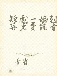 短剧一婚到底全集免费观看
