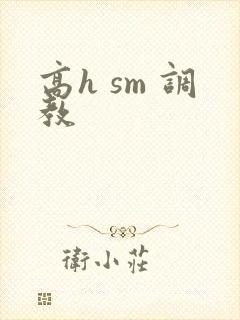 高h sm 调教