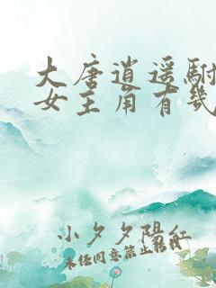 大唐逍遥驸马爷女主角有几个