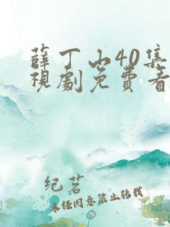 薛丁山40集电视剧免费看