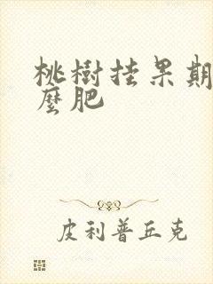 桃树挂果期施什么肥