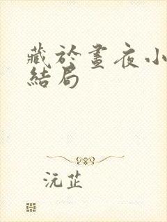 藏于昼夜小说大结局