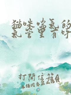 猫咪喘气的时候气管里有呼噜呼噜声音