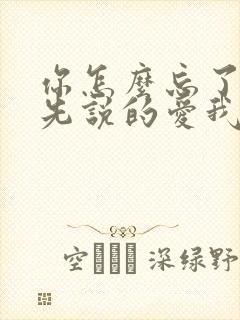 你怎么忘了是你先说的爱我歌词