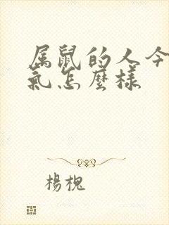 属鼠的人今年运气怎么样 属鼠的人今年运气怎么样