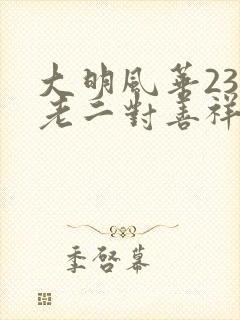 大明风华23集老二对善祥做了什么