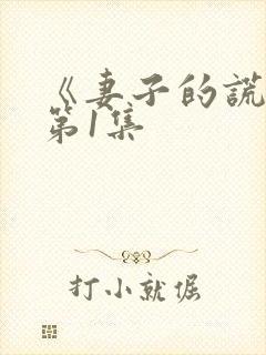 《妻子的谎言》第1集