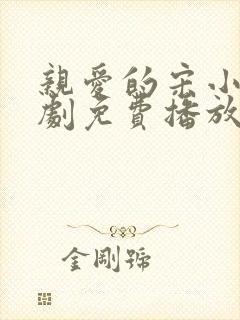 亲爱的宋小姐短剧免费播放