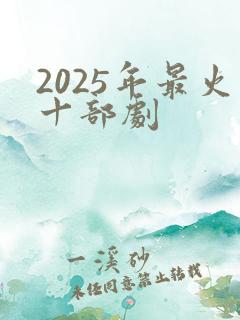 2025年最火十部剧