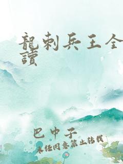 龙刺兵王全本阅读