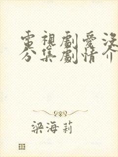 电视剧爱没有错分集剧情介绍