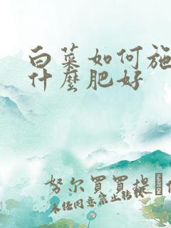 白菜如何施肥施什么肥好