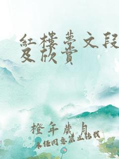 红楼梦文段摘抄及欣赏