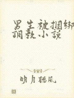男生被捆绑束缚调教小说
