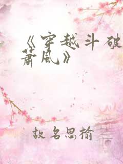 《穿越斗破名叫萧风》