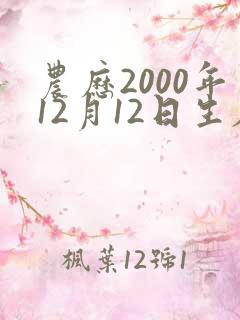 农历2000年12月12日生辰八字 农历2000年12月12日生辰八字