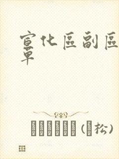 宣化区副区长名单 宣化区副区长名单