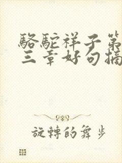 骆驼祥子第二十三章好句摘抄及欣赏