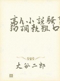 高h小说骚货母狗调教粗口