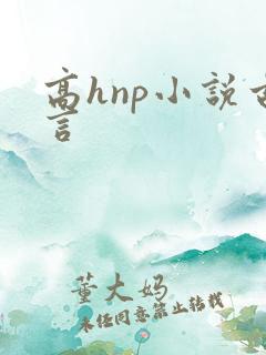 高hnp小说古言