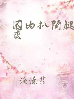 国内扒开腿爽爽爽