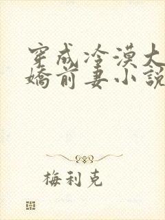 穿成冷漠大佬的娇前妻小说