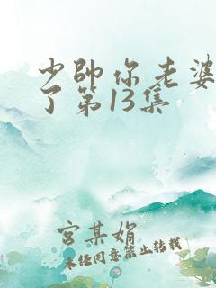 少帅你老婆又跑了第13集
