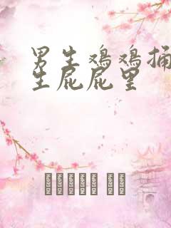 男生鸡鸡捅进女生屁屁里