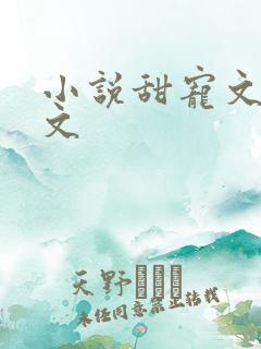 小说甜宠文校园文