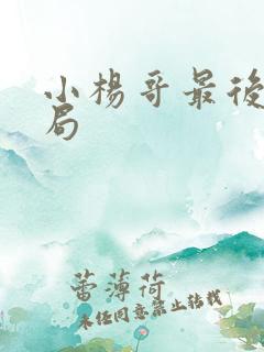 小杨哥最后的结局