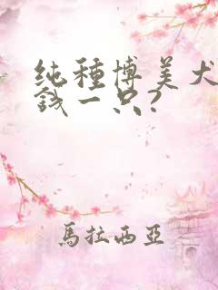 纯种博美犬多少钱一只?