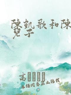 陈凯歌和陈红的儿子