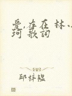 爱,存在 林小珂 歌词 爱,存在 林小珂 歌词