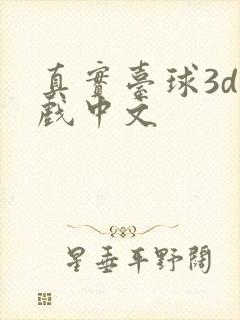 真实台球3d游戏中文