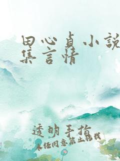 田心贞小说作品集言情