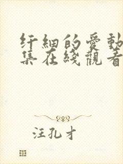 纤细的爱动漫全集在线观看