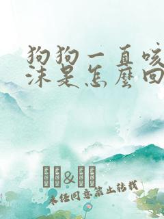 狗狗一直咳吐白沫是怎么回事
