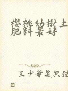 樱桃幼树上什么肥料最好
