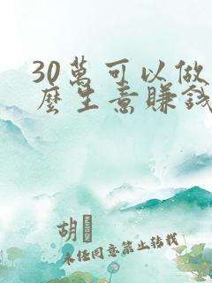 30万可以做什么生意赚钱