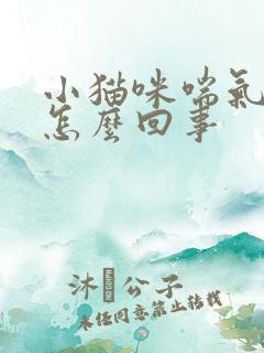 小猫咪喘气急促怎么回事