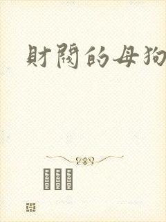 财阀的母狗们